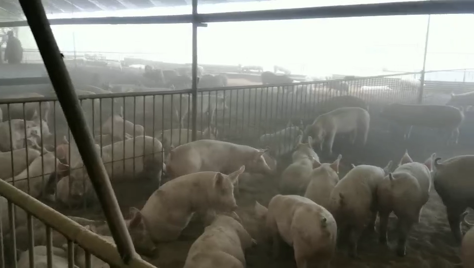 微信圖片_20200602154331